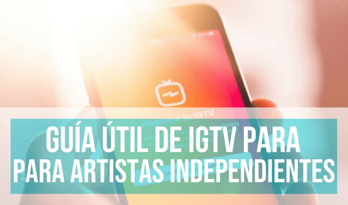 guía IGTV para artistas
